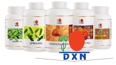 Ganoderma Series